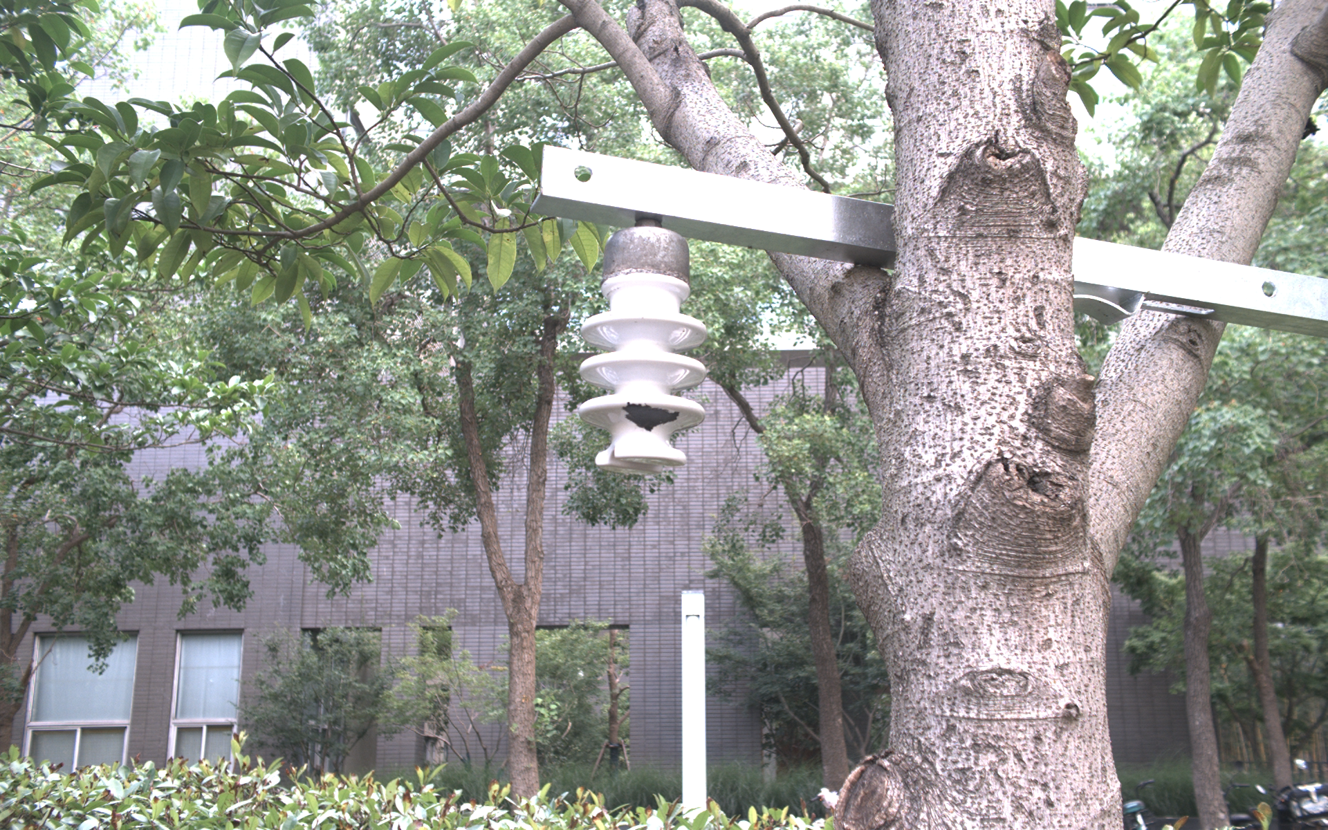 sample-3.png