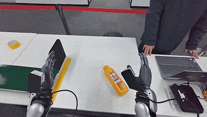 Consumer goods sorting