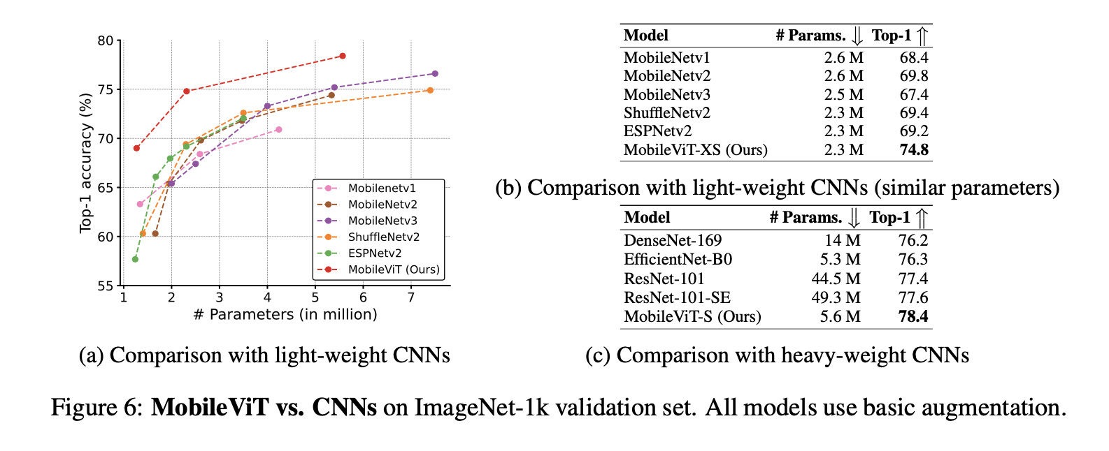 MobileViT CNNPreformance