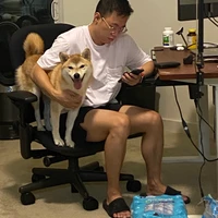 Dongji Gao's profile picture