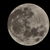 Jonathan Balloch's profile picture