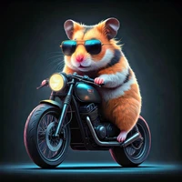 Experimental Models's profile picture