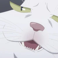 JinZhiHong's profile picture