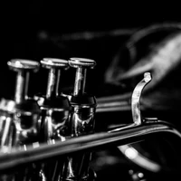 Jiarun Liu's profile picture