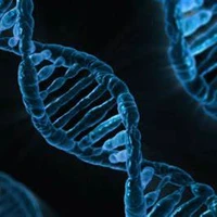 InnovPythIA (Innovación en Python y AI)'s profile picture