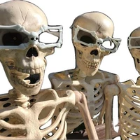 Debug Divas's profile picture