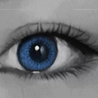 Frank Wu's profile picture