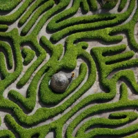 Guohonglie's profile picture