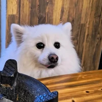 LiZhiyuan's profile picture