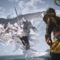 Chen Xu's profile picture