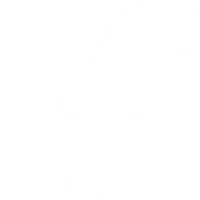 Foundess's profile picture