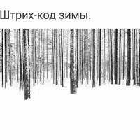 mipt-modern-cv's profile picture