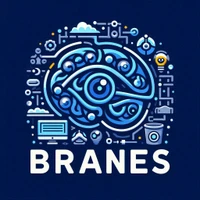 Branes.ai's profile picture