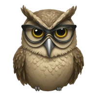 yang's profile picture