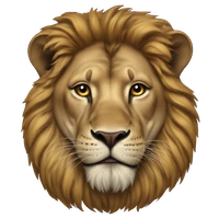 MANZI Joseph's profile picture