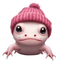 Jikai Chen's profile picture