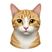 Yiwen Ye's profile picture