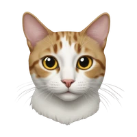 Aojun Lu's profile picture