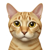 brian's profile picture