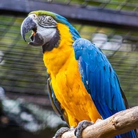 Emma West's profile picture