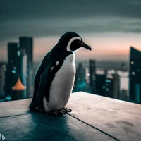 Adrián Rubio's profile picture