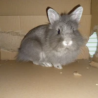 Florian Guerin's profile picture