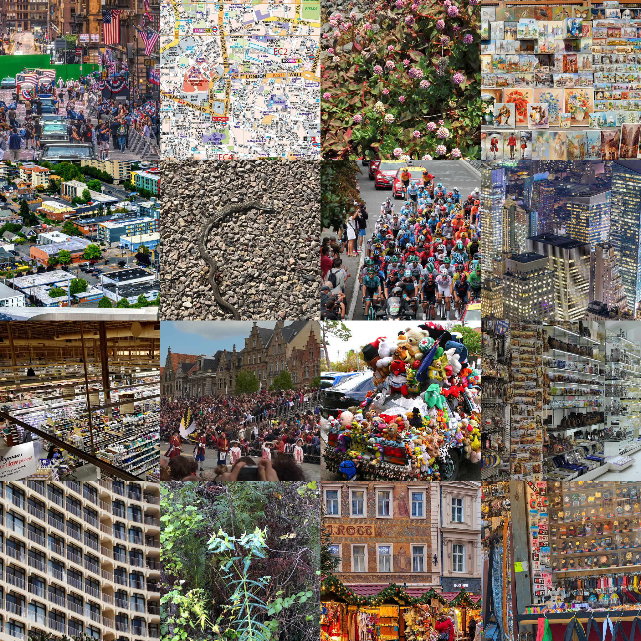 BHI Small SISR Dataset Example Tiles