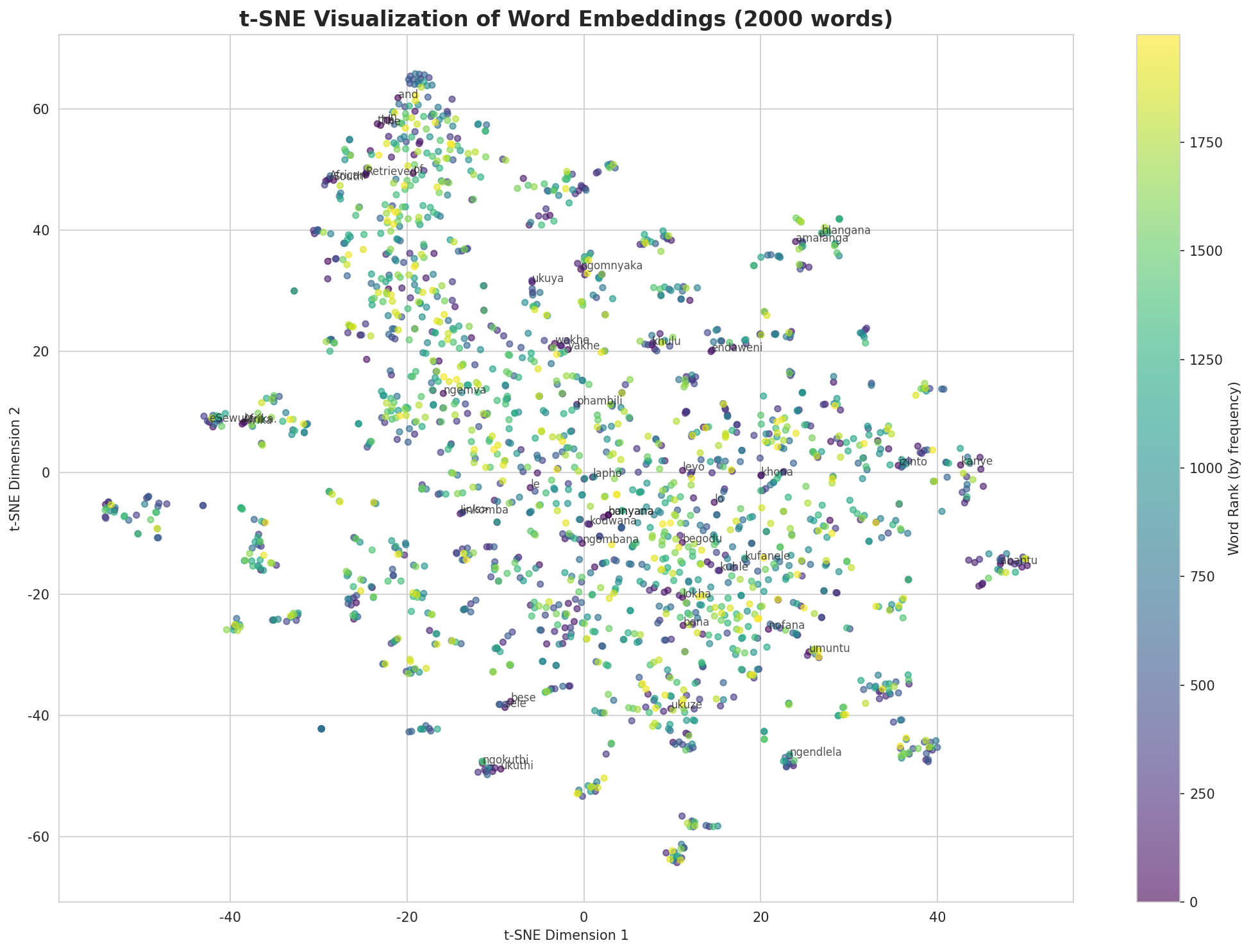 t-SNE Words