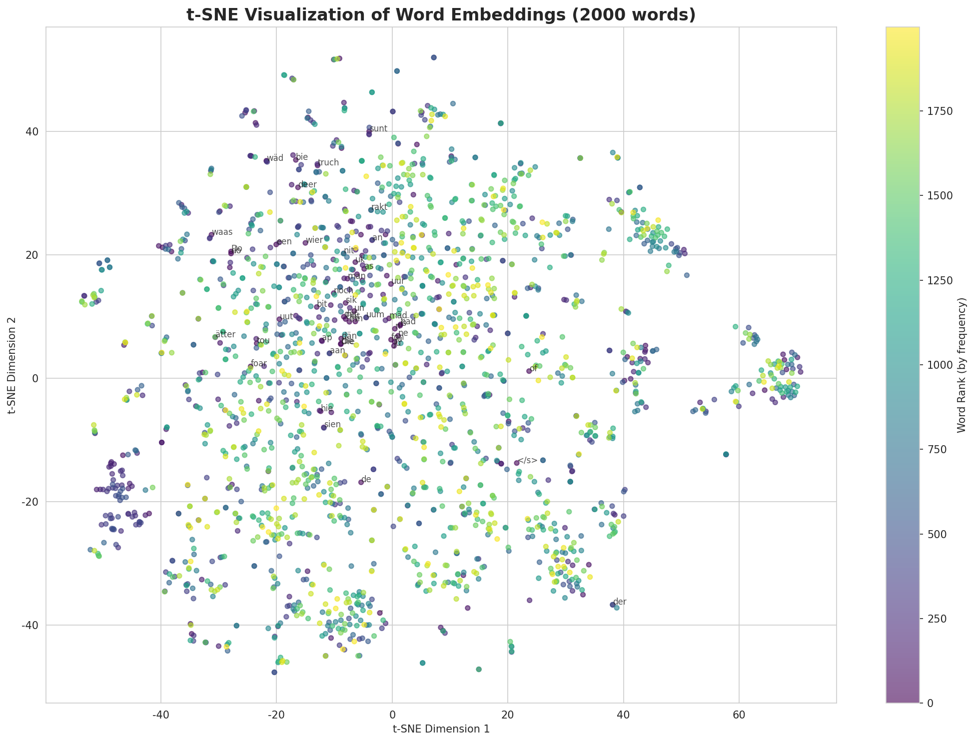 t-SNE Words