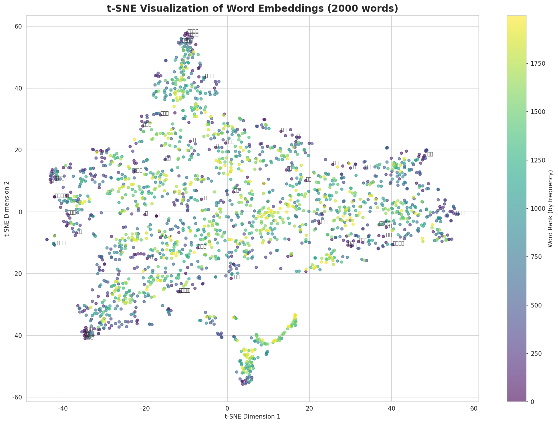 t-SNE Words