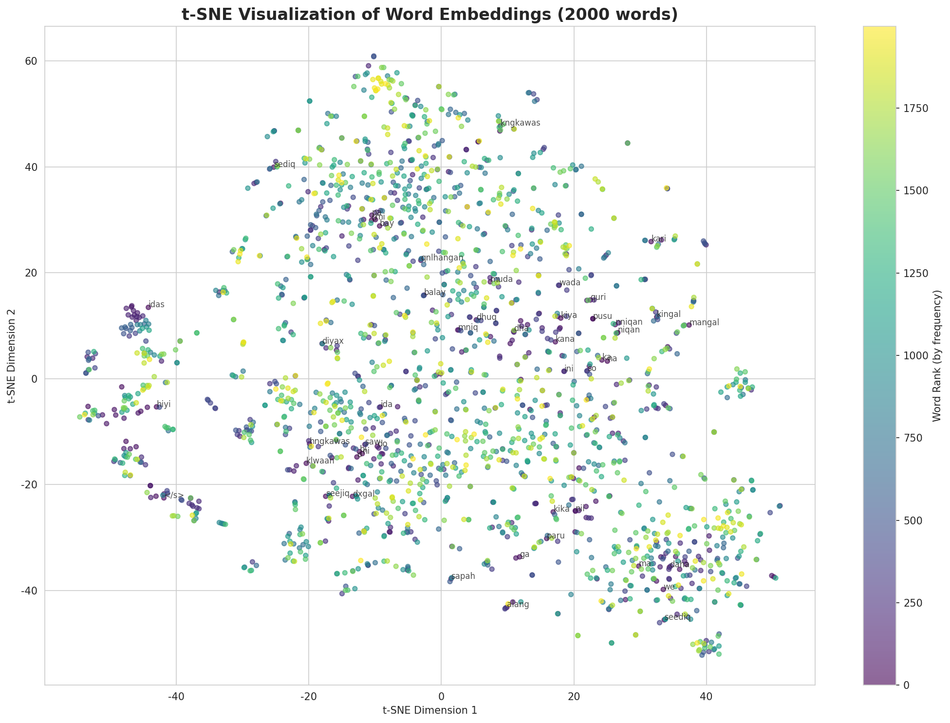 t-SNE Words